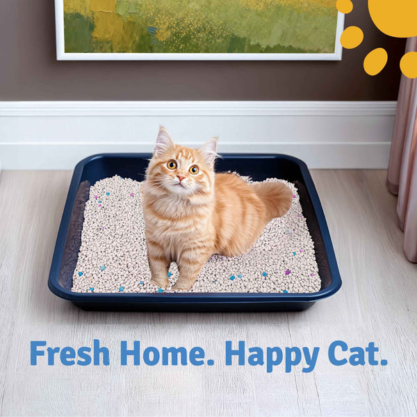 Premium Bentonite Cat Litter with Lavender Fragrance – 5kg | High Absorbency | Fast Clumping | Low Dust Formula