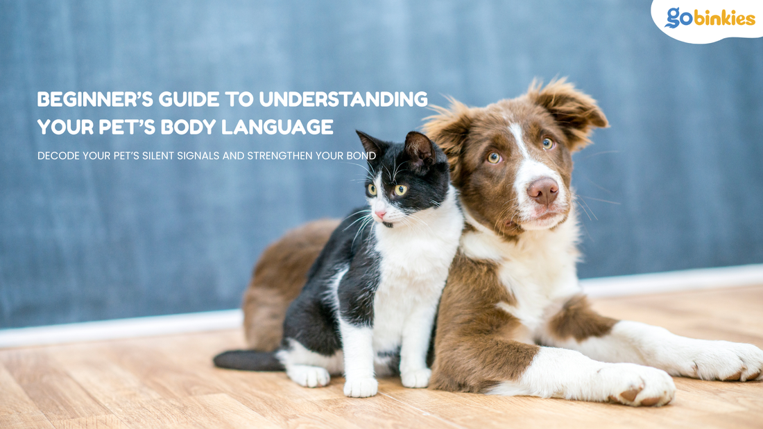 Beginner’s Guide to Understanding Your Pet’s Body Language