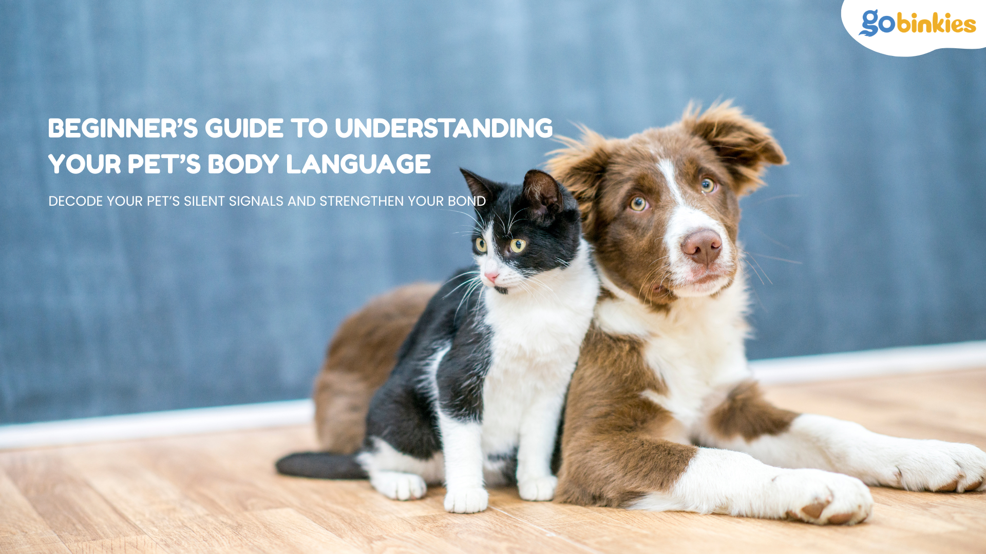 Beginner’s Guide to Understanding Your Pet’s Body Language