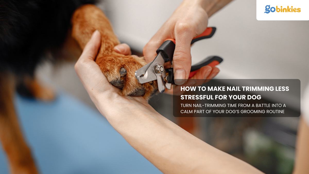 How to Make Nail Trimming Less Stressful for Your Dog
