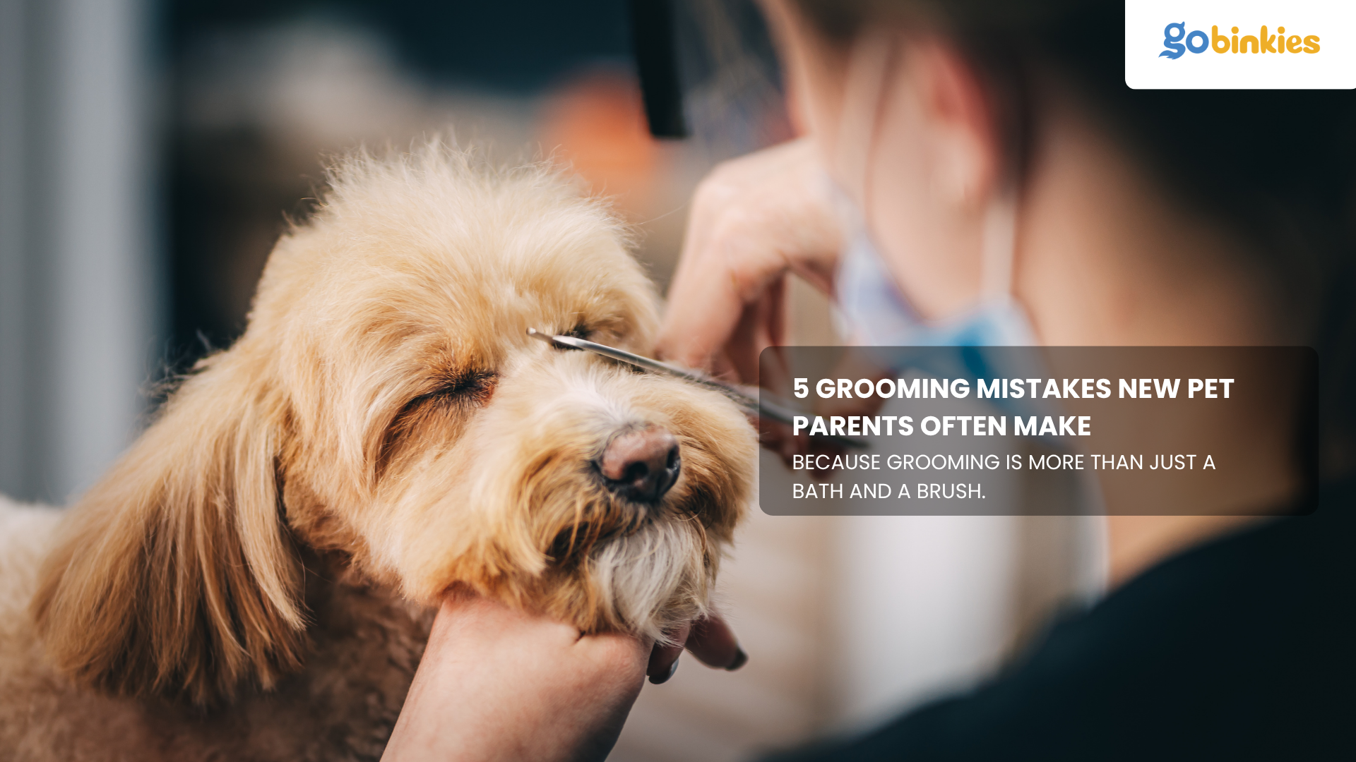 5 Grooming Mistakes New Pet Parents Often Make