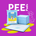 Toilet Training Pads | Pack of 50