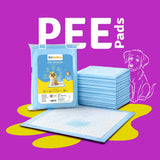 Toilet Training Pads | Pack of 50