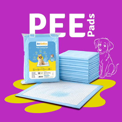 Toilet Training Pads | Pack of 50