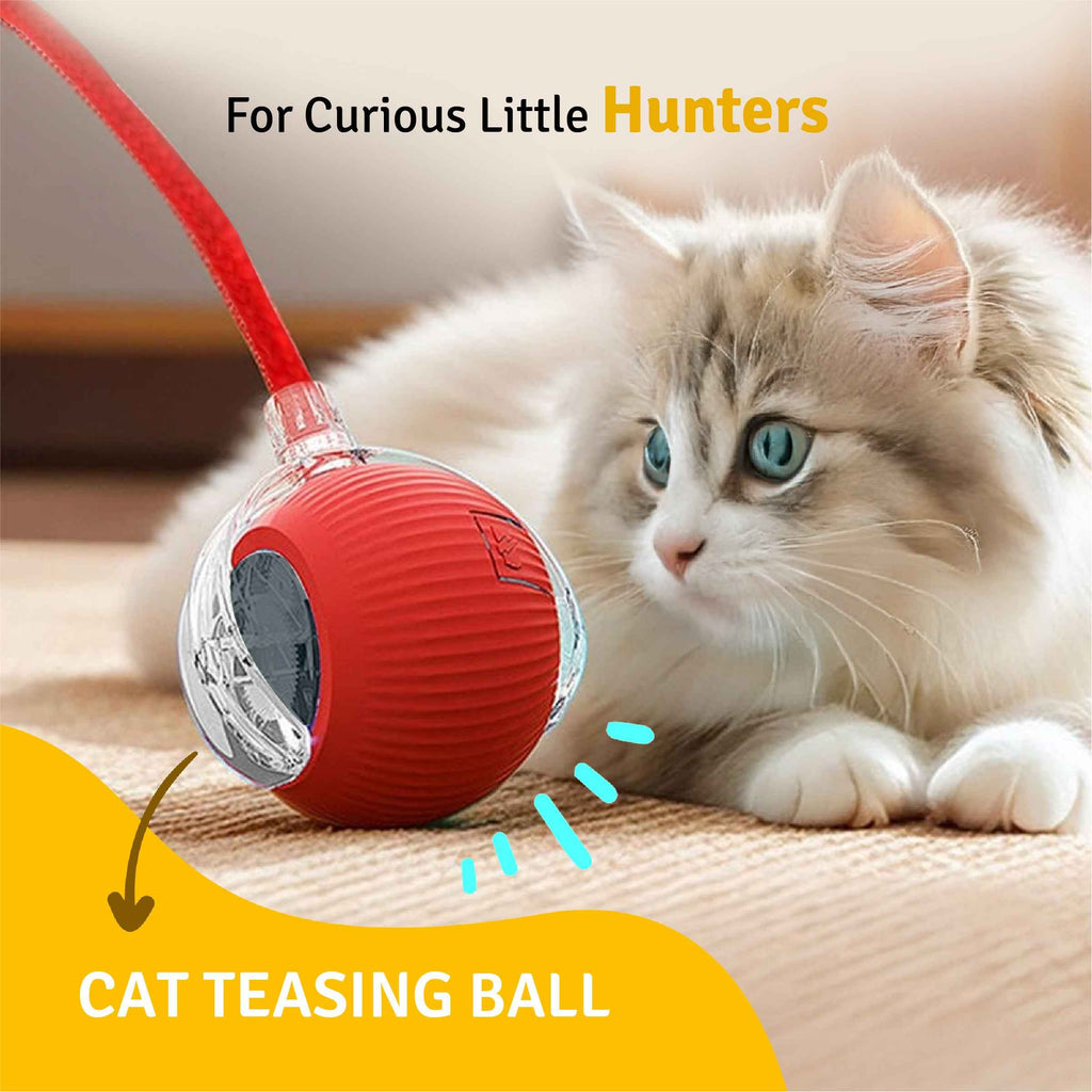 Interactive Teasing Toy Ball for Cats – Red | Rolling Play Toy | Chase & Hunt Fun | Active Play Exercise