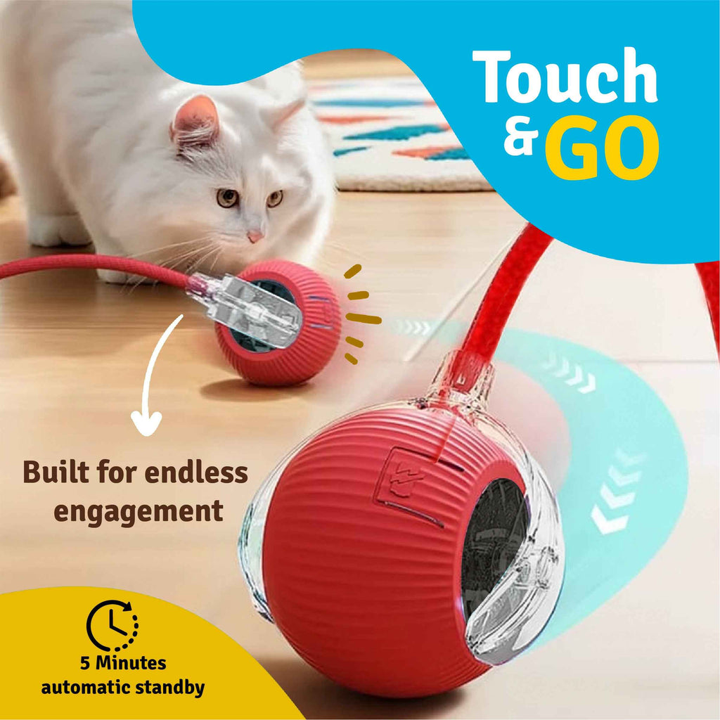 Interactive Teasing Toy Ball for Cats – Red | Rolling Play Toy | Chase & Hunt Fun | Active Play Exercise
