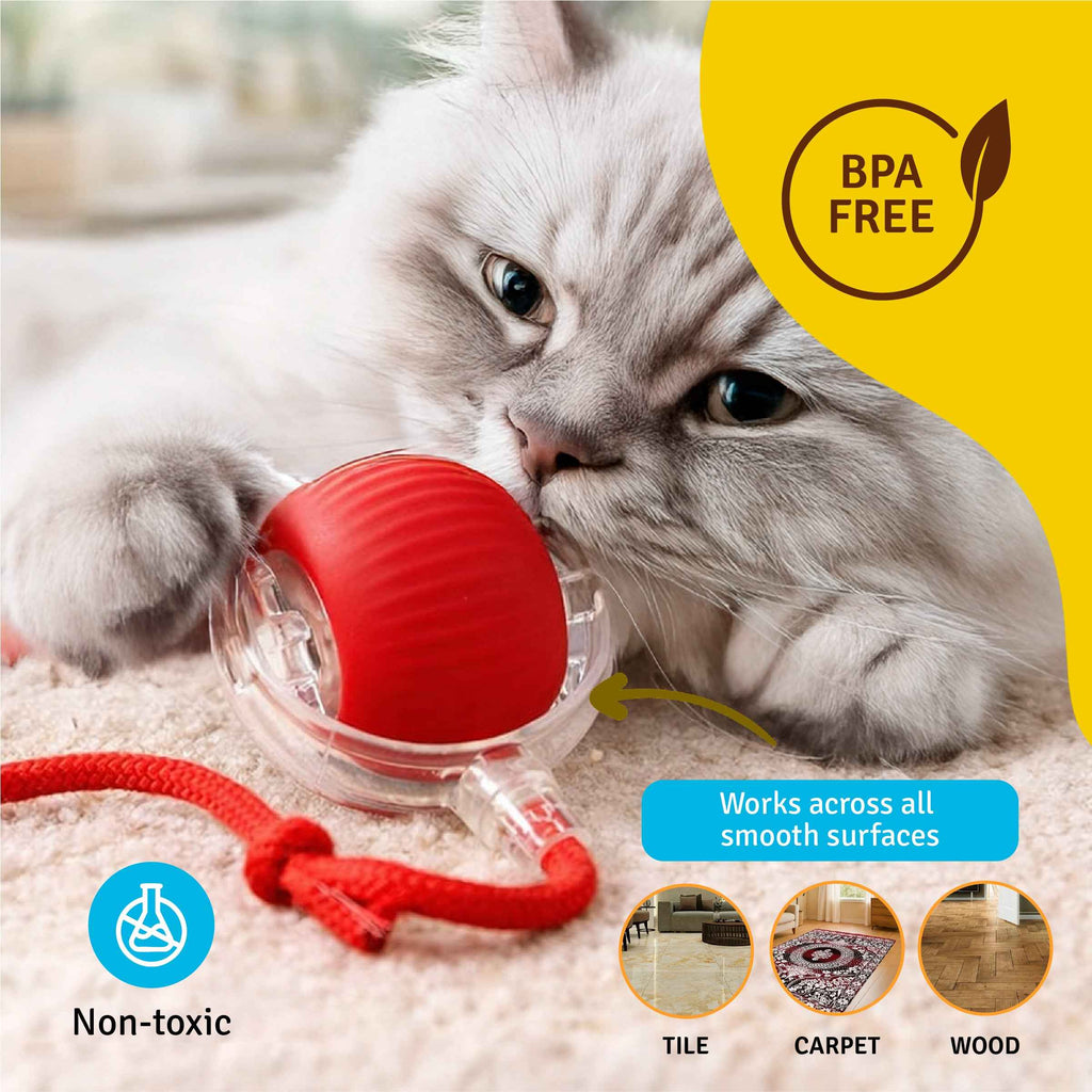 Interactive Teasing Toy Ball for Cats – Red | Rolling Play Toy | Chase & Hunt Fun | Active Play Exercise