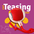 Interactive Teasing Toy Ball for Cats – Red | Rolling Play Toy | Chase & Hunt Fun | Active Play Exercise - Gobinkies