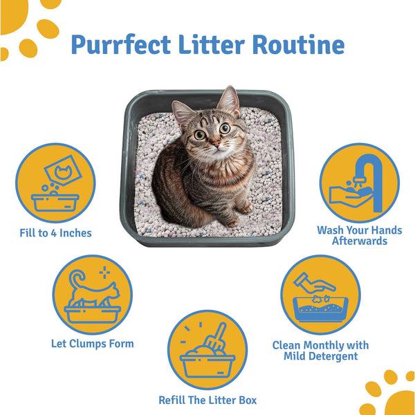 Premium Bentonite Cat Litter with Lavender Fragrance – 5kg | High Absorbency | Fast Clumping | Low Dust Formula