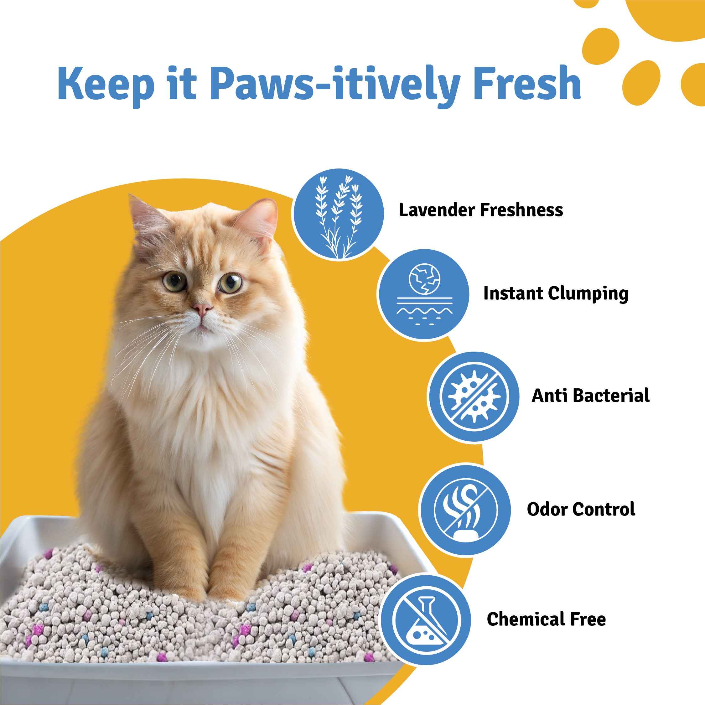 Premium Bentonite Cat Litter with Lavender Fragrance – 5kg | High Absorbency | Fast Clumping | Low Dust Formula