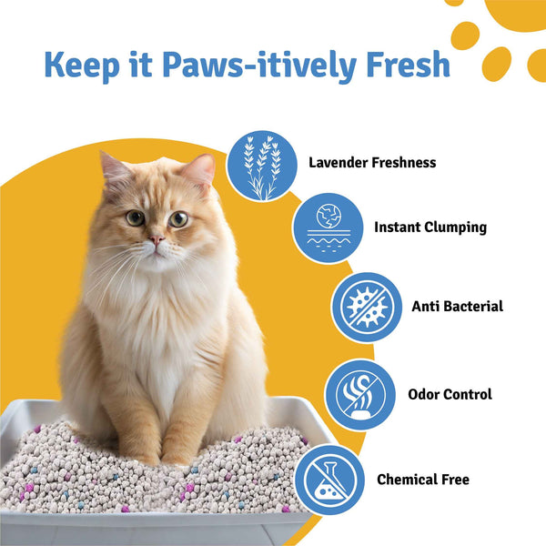Premium Bentonite Cat Litter with Lavender Fragrance – 5kg | High Absorbency | Fast Clumping | Low Dust Formula