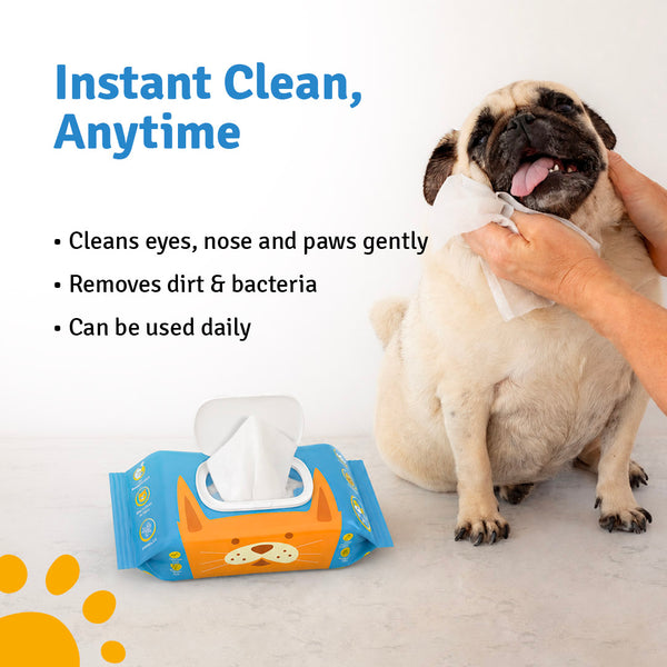 Everyday Pet Wipes for Dogs & Cats – 80 Wipes | Gentle Cleaning | Fresh & Fur-Friendly