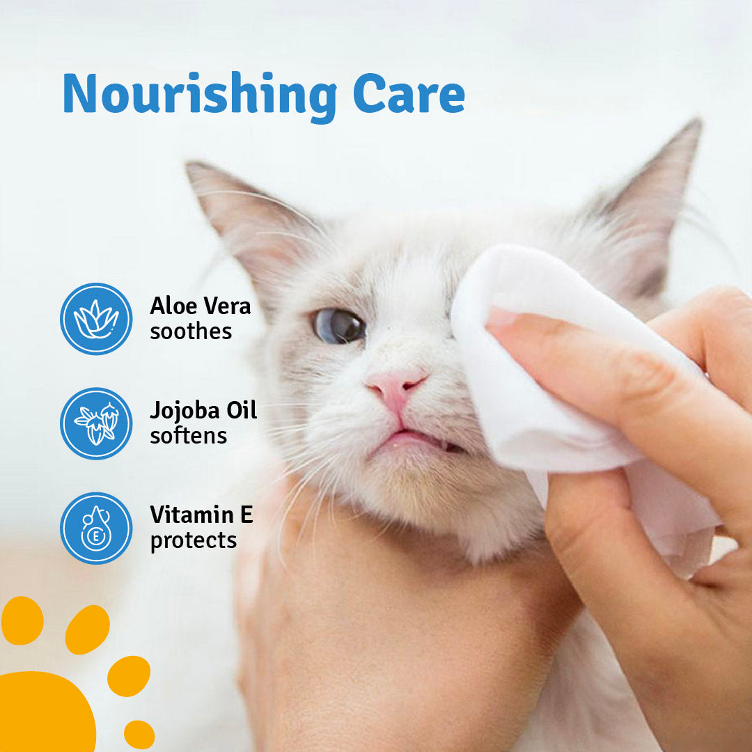 Everyday Pet Wipes for Dogs & Cats – 80 Wipes | Gentle Cleaning | Fresh & Fur-Friendly