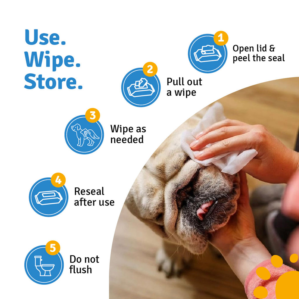 Everyday Pet Wipes for Dogs & Cats – 80 Wipes | Gentle Cleaning | Fresh & Fur-Friendly