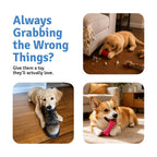 Gobinkies Spike Bone & Spike Ball Combo for Dogs | Durable Chew & Fetch Toys