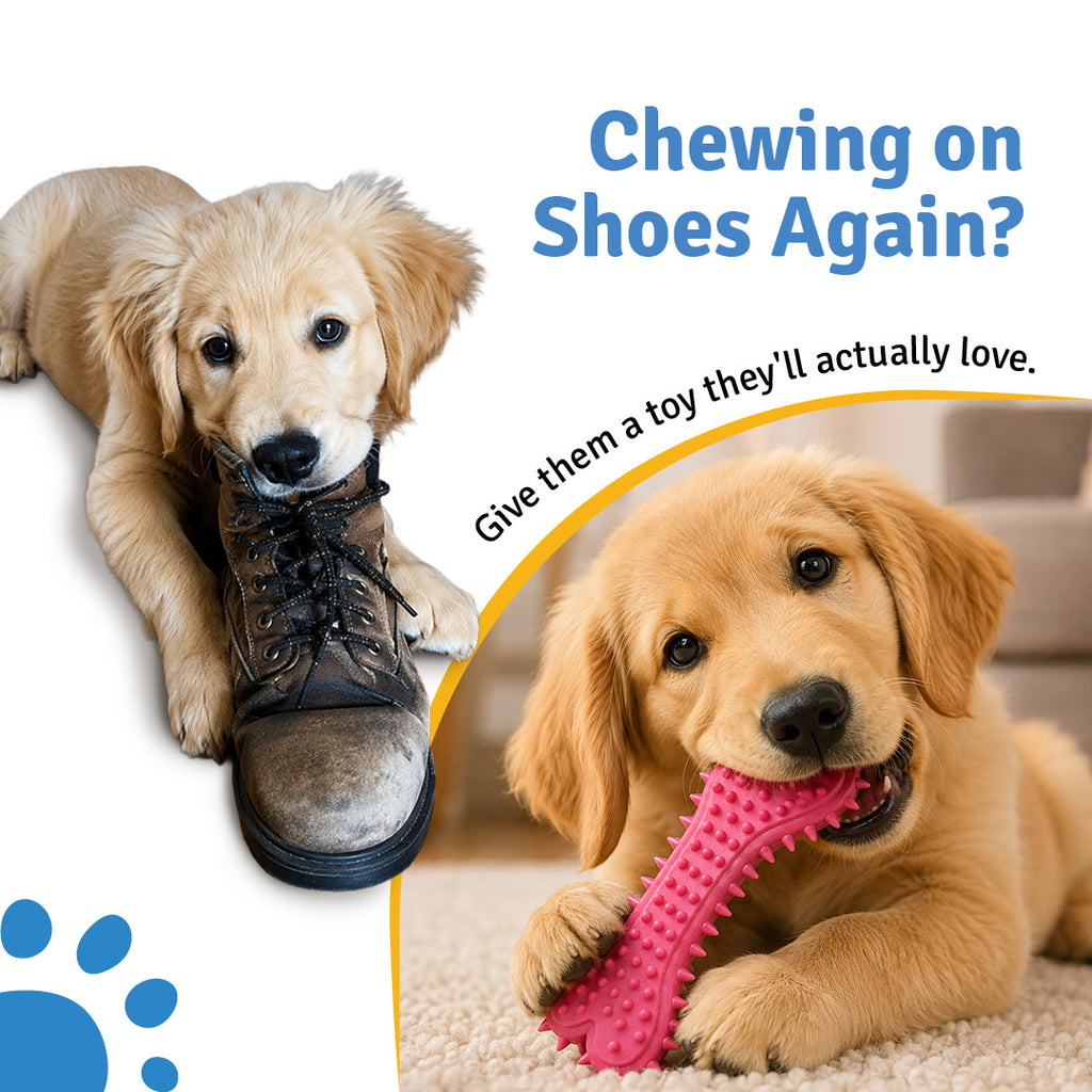 Gobinkies Spike Bone for Dogs | Durable Chew & Fetch Toy for Pets