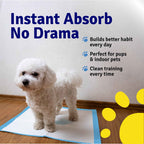 Toilet Training Pads | Pack of 50