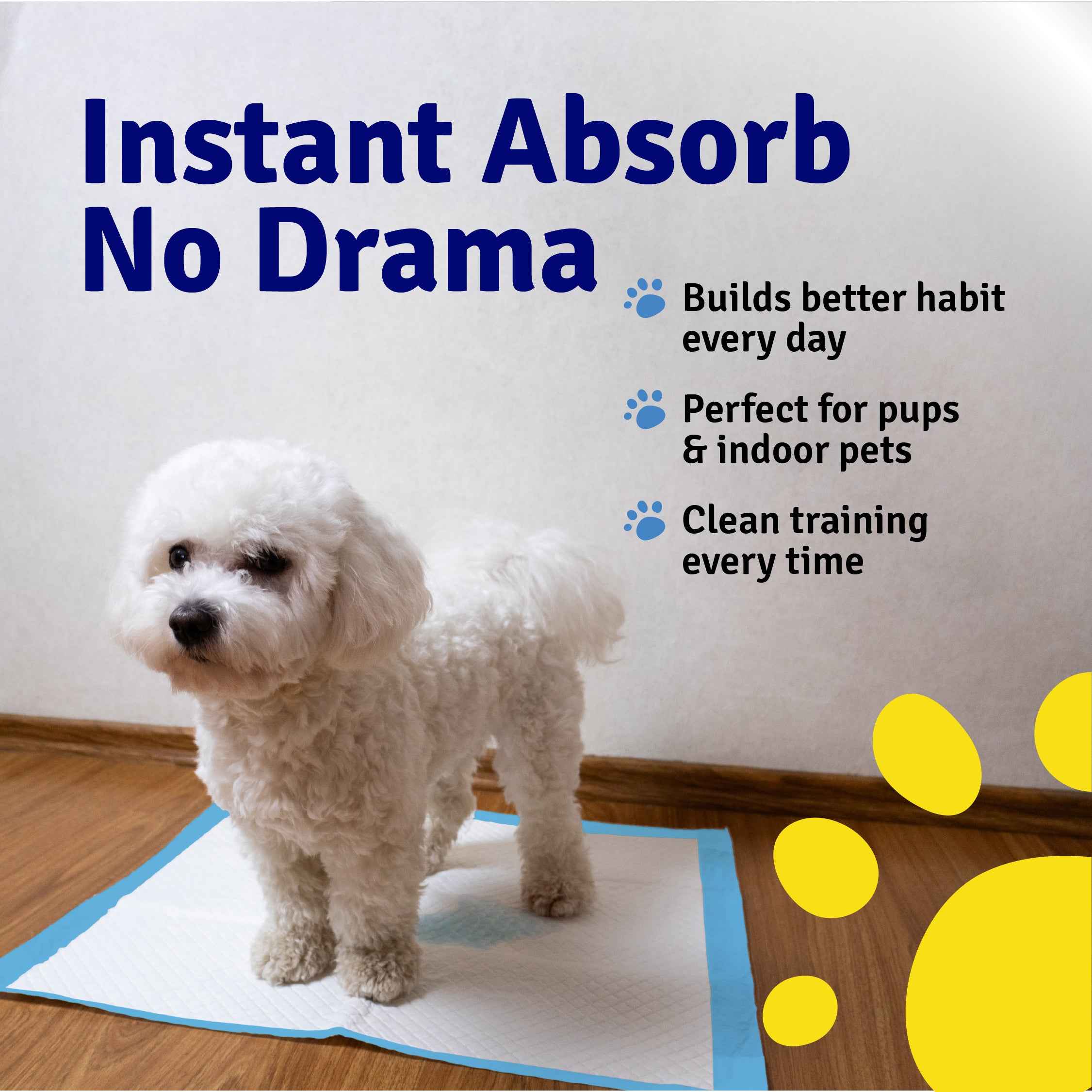 Toilet Training Pads | Pack of 50