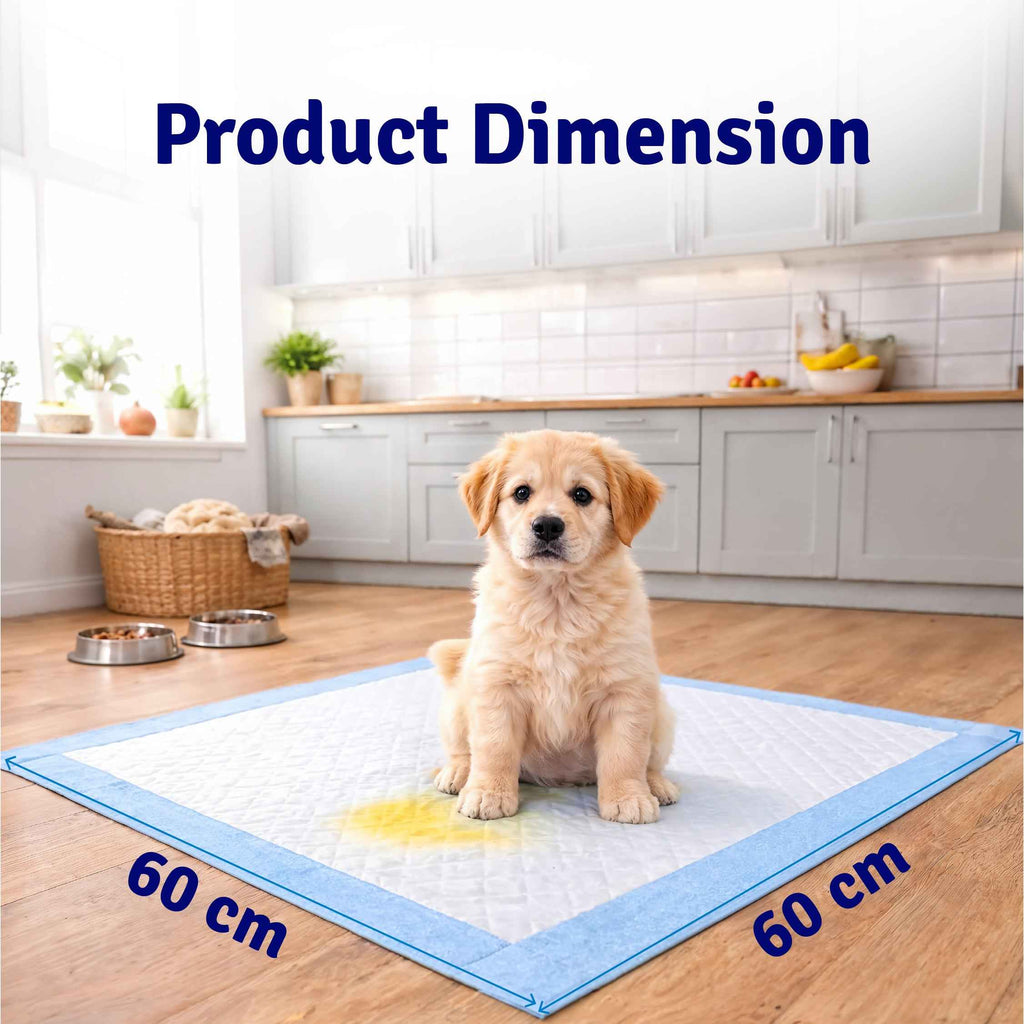 Toilet Training Pads | Pack of 50
