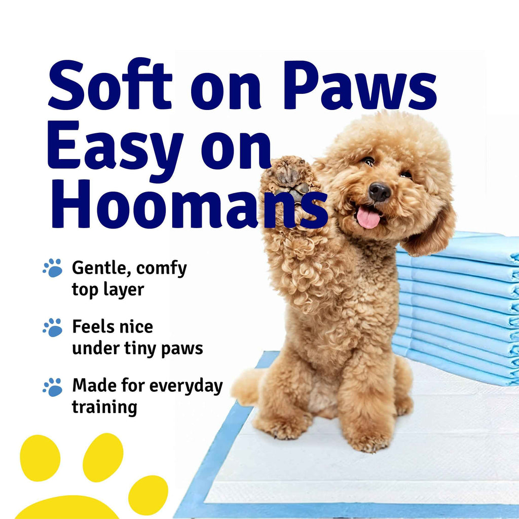 Toilet Training Pads | Pack of 50