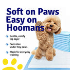 Toilet Training Pads | Pack of 50