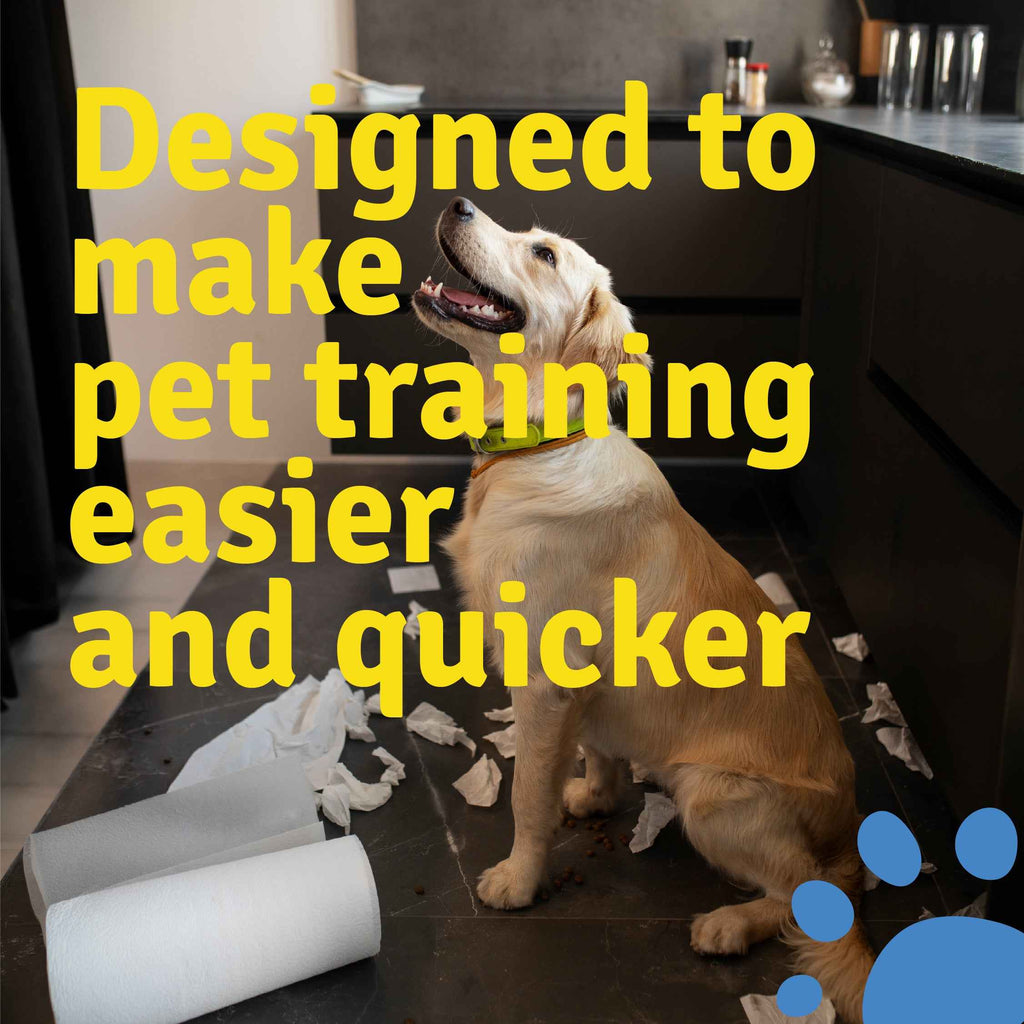 Toilet Training Pads | Pack of 50