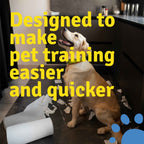 Toilet Training Pads | Pack of 50