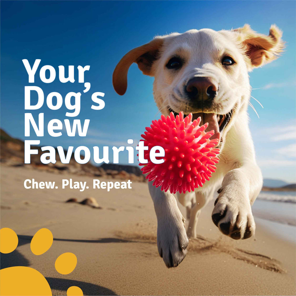 Spike Ball Chew Toy for Dogs – Chew & Fetch Toy | High Bounce & Durable