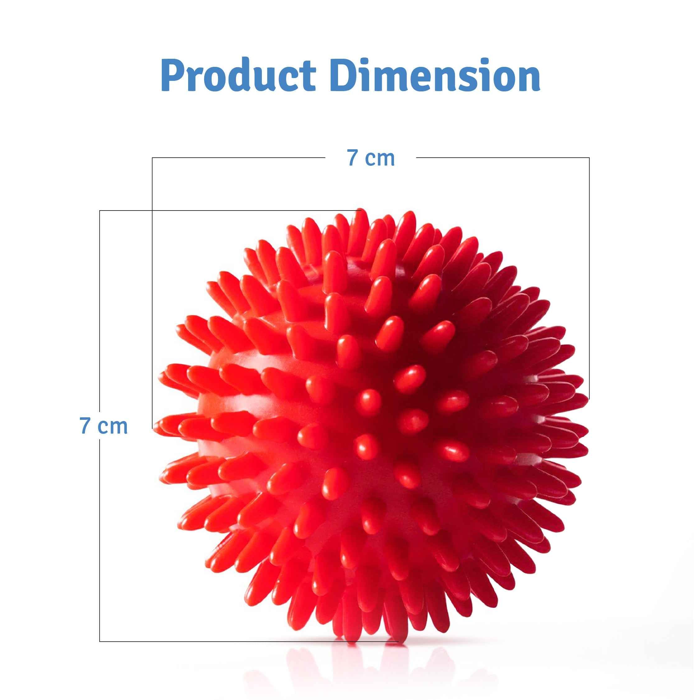 Spike Ball Chew Toy for Dogs – Chew & Fetch Toy | High Bounce & Durable