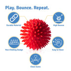 Spike Ball Chew Toy for Dogs – Chew & Fetch Toy | High Bounce & Durable