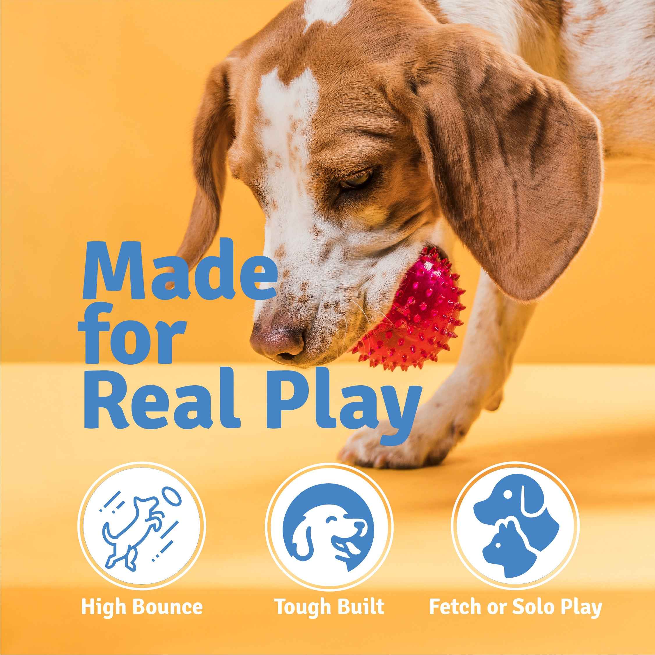 Spike Ball Chew Toy for Dogs – Chew & Fetch Toy | High Bounce & Durable